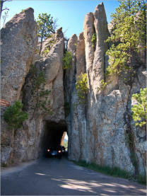Needles Highway (SD 87)