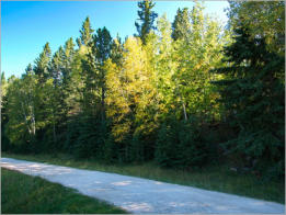 Sylvan Lake - Custer SP, SD