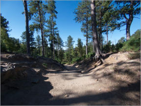 Black Elk Peak Trail -  Nr. 9 - Custer SP, SD