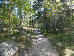 Black Elk Peak Trail -  Nr. 9 - Custer SP, SD