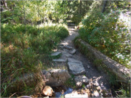Black Elk Peak Trail -  Nr. 9 - Custer SP, SD