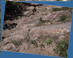 Black Elk Peak Trail -  Nr. 9 - Custer SP, SD