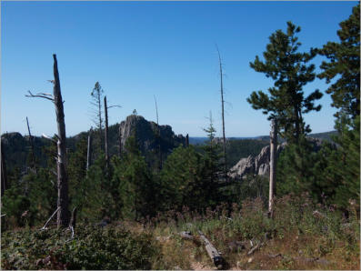Black Elk Peak Trail -  Nr. 9 - Custer SP, SD