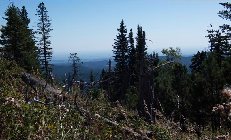 Black Elk Peak Trail -  Nr. 9 - Custer SP, SD