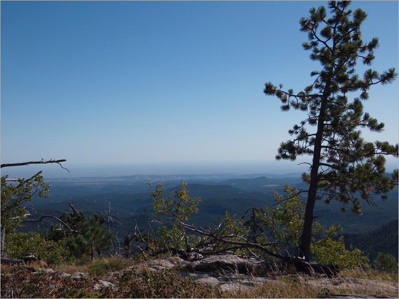 Black Elk Peak Trail -  Nr. 9 - Custer SP, SD
