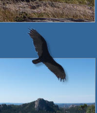 Black Elk Peak Trail -  Nr. 9 - Custer SP, SD