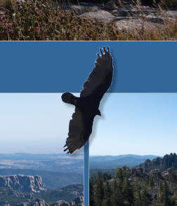 Black Elk Peak Trail -  Nr. 9 - Custer SP, SD