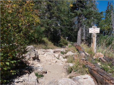 Black Elk Peak Trail -  Nr. 9 - Custer SP, SD