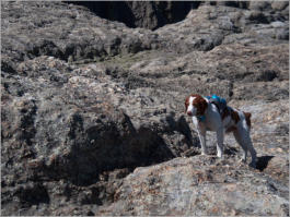 Black Elk Peak Trail -  Nr. 9 - Custer SP, SD