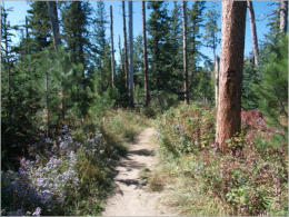 Black Elk Peak Trail - Nr. 4 - Custer SP, SD