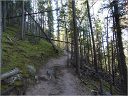Black Elk Peak Trail - Nr. 4 - Custer SP, SD