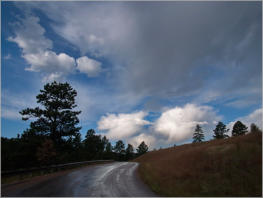 Custer State Park - South Dakota