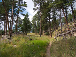 Devils Tower National Monument - Wyoming