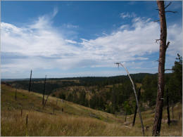 Devils Tower National Monument - Wyoming