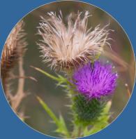 Devils Tower National Monument - Wyoming