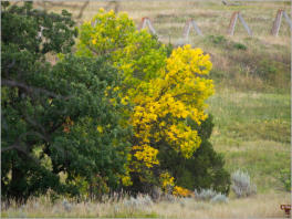 Devils Tower National Monument - Wyoming