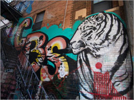 Graffiti - Rapid City, SD