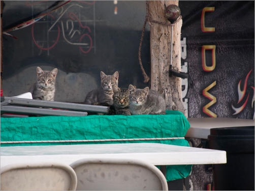 Interior - South Dakota