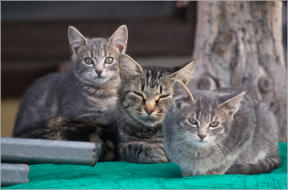Interior - South Dakota