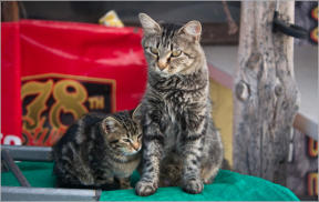 Interior - South Dakota