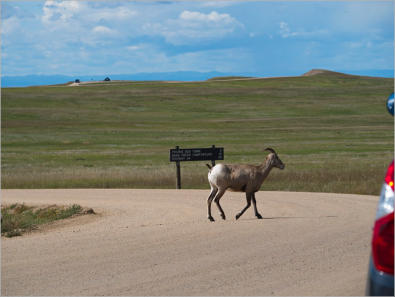 Badlands National Park - South Dakota