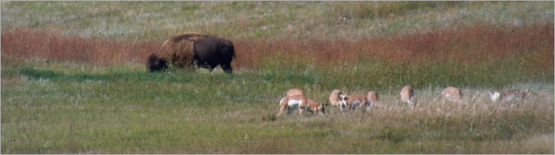 Badlands National Park - South Dakota