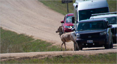Badlands National Park - South Dakota
