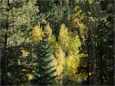 Boulder Canyon - Colorado