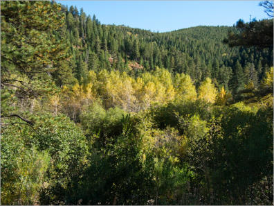 Boulder Canyon - Colorado
