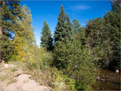 Rogers Park - Colorado