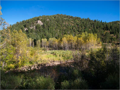 Rogers Park - Colorado