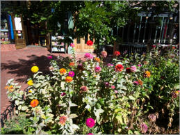 Pearl Street - Boulder, CO