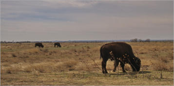 Caprock Canyons State Park, Texas
