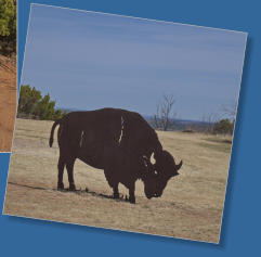 Caprock Canyons State Park, Texas