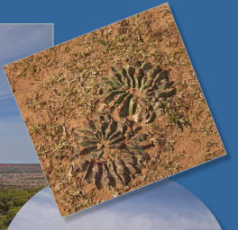 Caprock Canyons State Park, Texas