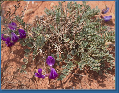 Caprock Canyons State Park, Texas