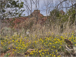 Caprock Canyons State Park, Texas