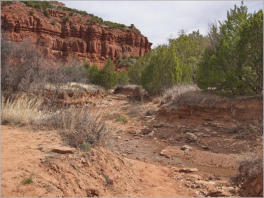 Caprock Canyons State Park, Texas