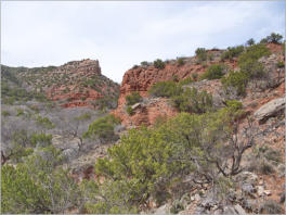Caprock Canyons State Park, Texas