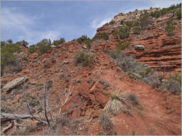 Caprock Canyons State Park, Texas