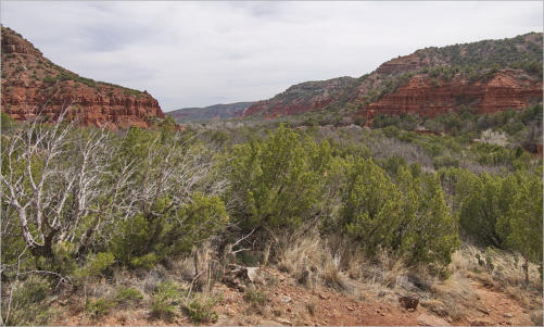 Caprock Canyons State Park, Texas