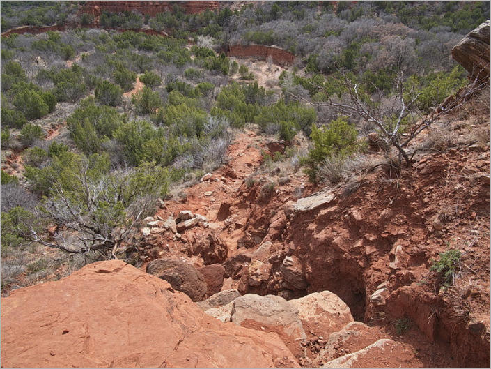 Caprock Canyons State Park, Texas
