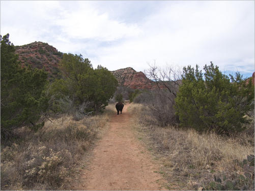 Caprock Canyons State Park, Texas