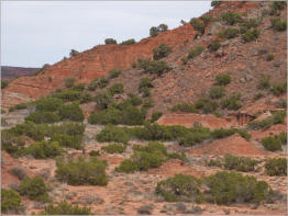 Caprock Canyons State Park, Texas