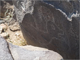 Three Rivers Petroglyph Site, Las Cruces - NM