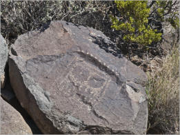 Three Rivers Petroglyph Site, Las Cruces - NM