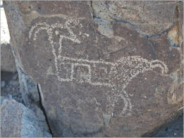 Three Rivers Petroglyph Site, Las Cruces - NM