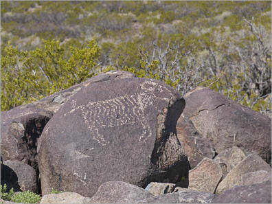 Three Rivers Petroglyph Site, Las Cruces - NM