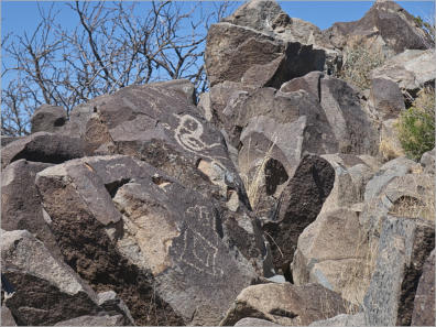 Three Rivers Petroglyph Site, Las Cruces - NM