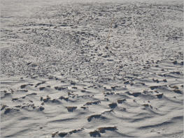 White Sands National Monument - NM
